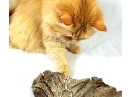 PhoenixFire Designs Official Shop Assistant Ginger helps in product photo for my Green Opal Dainty Circle Necklace, helper cat.